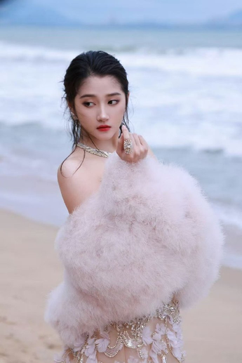 人与畜禽corporation康诺翻译功能